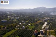 Mires Kreta, Mires Mehrfamilienhaus 300m² Wfl. verteilt auf 3 Etagen Haus kaufen